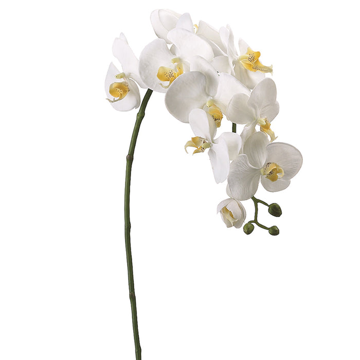 31.5" Cream Phalaenopsis Spray HSO903-Cr